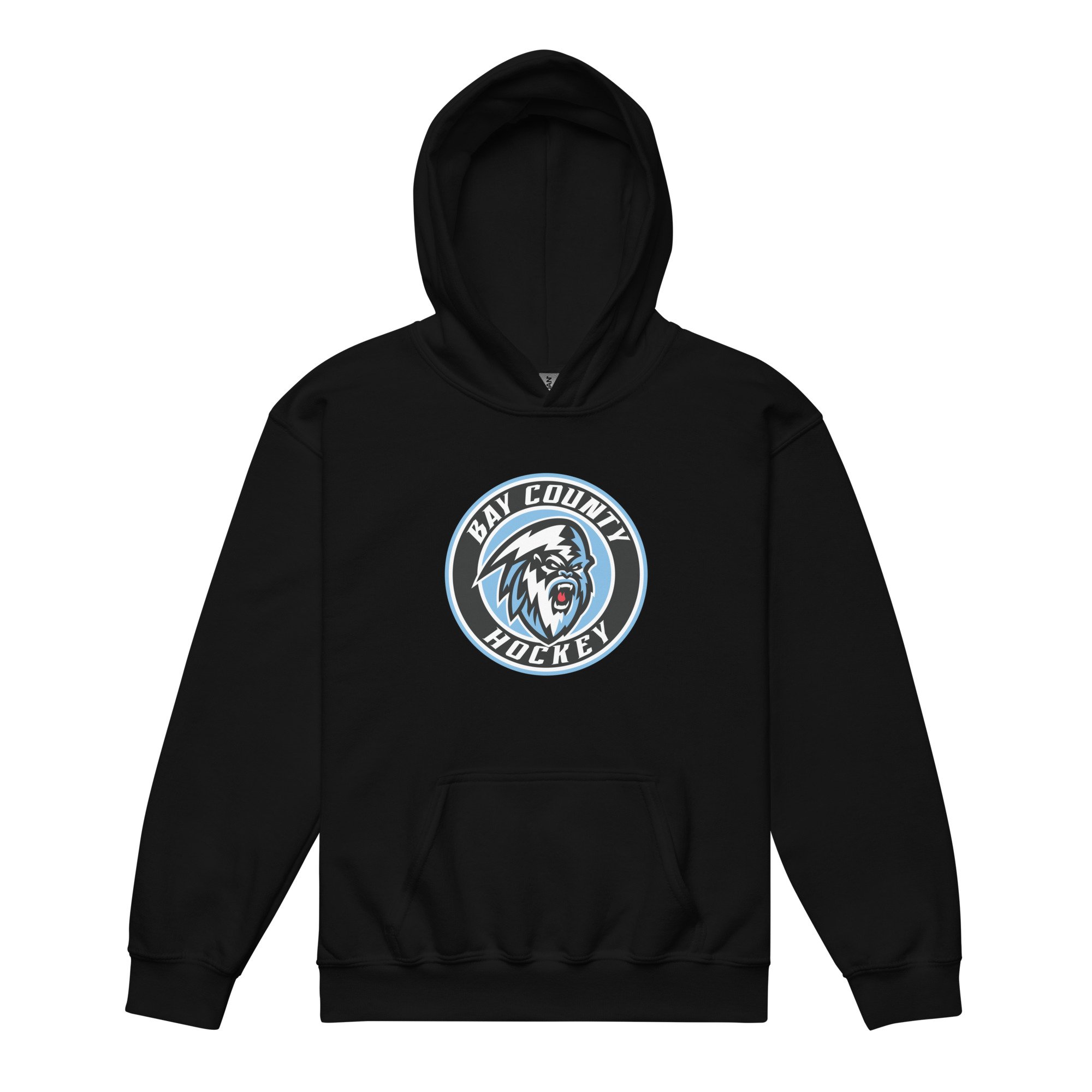 Bay County Hockey: Youth Heavy Blend Hoodie - Circle Logo